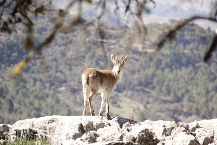 sierra de cazorla en autocaravana